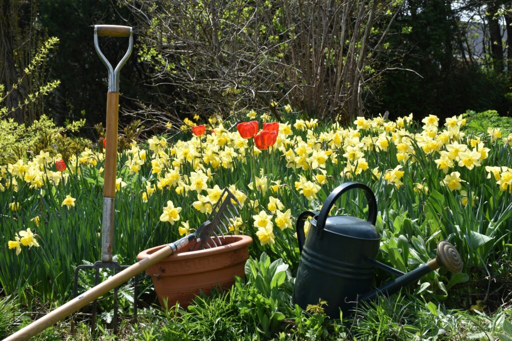 Garden ToolS