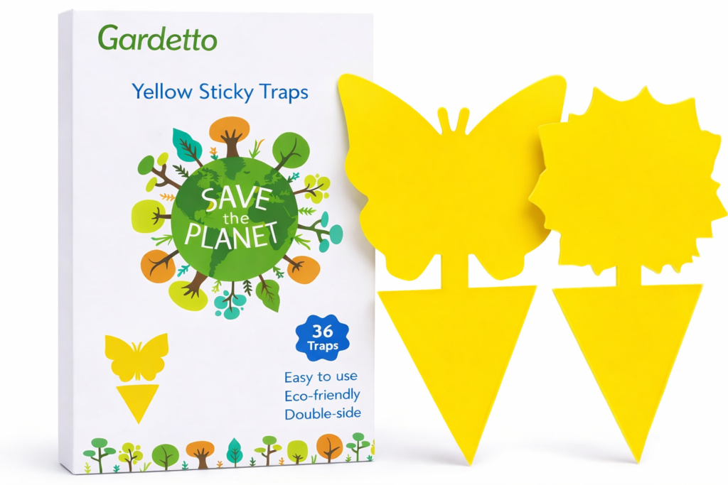 indoor sticky fruit fly traps