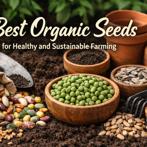 organic seeds